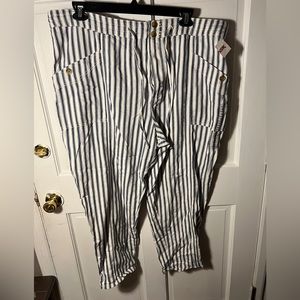 American Eagle AE AEO size 24 regular cotton pant